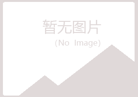 师宗县白山培训有限公司